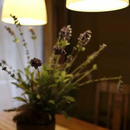 Ferienwohnung Klosterpfad アパート